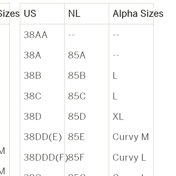 Victoria Secret Teal Lace Corset Bustier Push-Up Bra 38DD Very Sexy Shine Strap - Picture 3 of 14